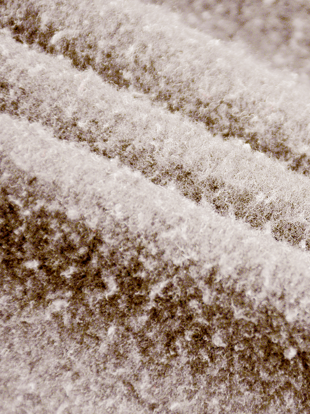 "In Brittani We Trust" Hoodie